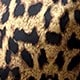 https://img.ltwebstatic.com/images3_pi/2023/05/04/168316290590077002e619fe4218903309c422ac6a.jpg