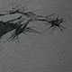 https://img.ltwebstatic.com/images3_pi/2024/03/27/bb/1711533364efd3b00f9eef8b22012c69659667493a.jpg