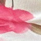 https://img.ltwebstatic.com/images3_pi/2024/05/27/dc/1716801699920be366981b55031e24a601b1300b21.jpg