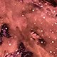 https://img.ltwebstatic.com/images3_pi/2024/12/26/81/17351957119097d28d4ab400358c4d3cdd4ff25cbd.jpg