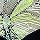 https://img.ltwebstatic.com/v4/j/spmp/2025/04/12/e5/174444922636525981549c5264ecc6fcaaf3e29fad.jpg